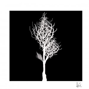 ARBOL