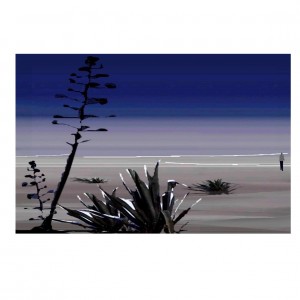 playa de los genoveses